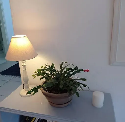 Asterias Διαμέρισμα